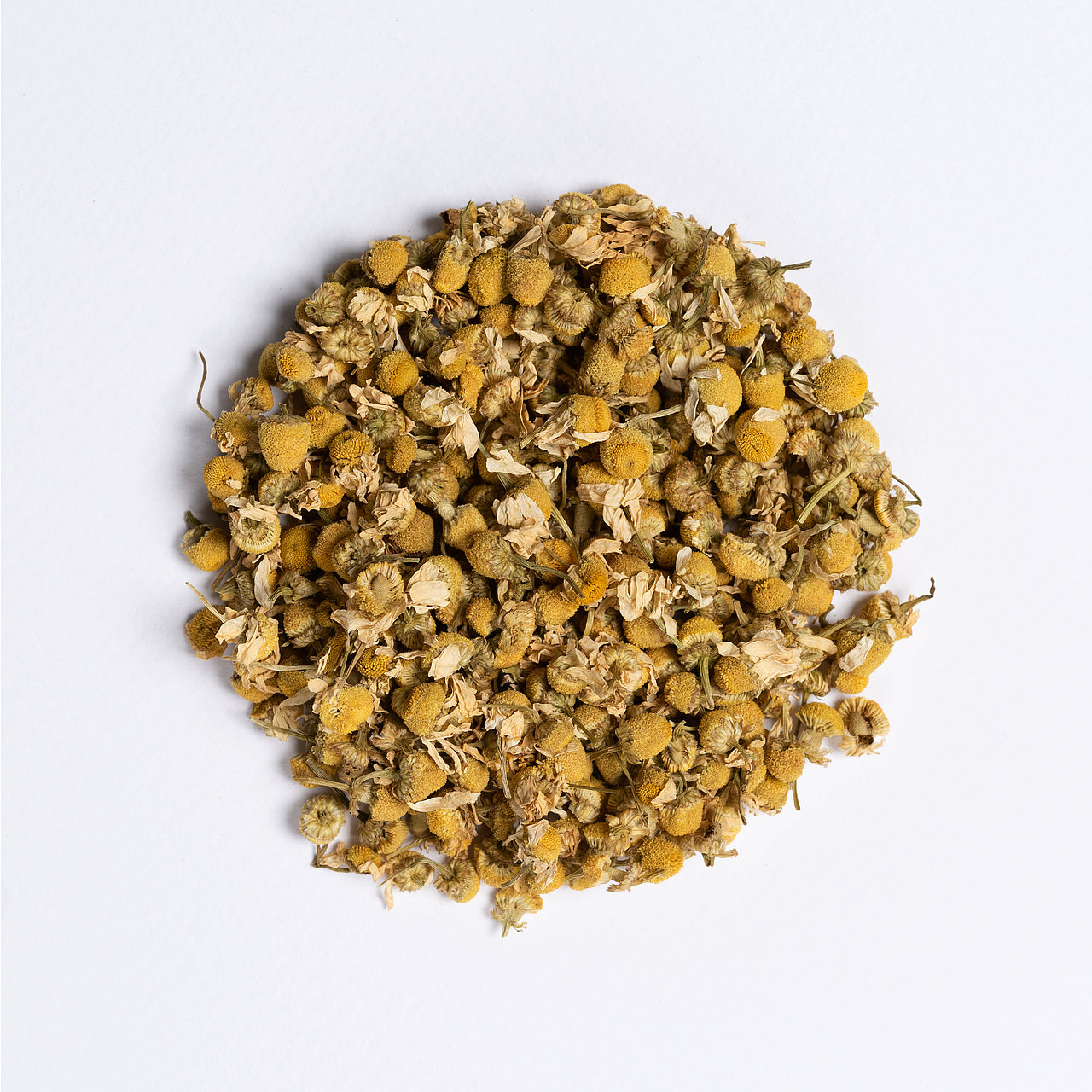 Camomilla Erbe singoli