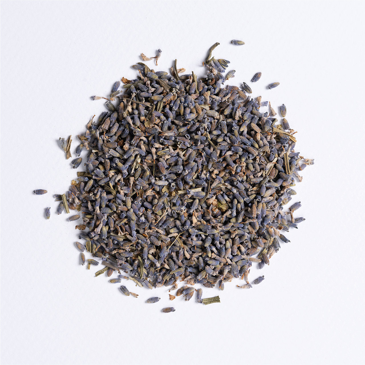 Lavanda Erbe singoli